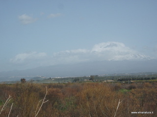 lle del Simeto-24-02-2013 11-00-25